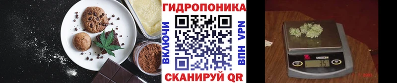 МЕГА ССЫЛКА  Кинель  Еда ТГК конопля 