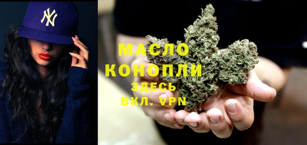 мяу мяу мука Дмитриев
