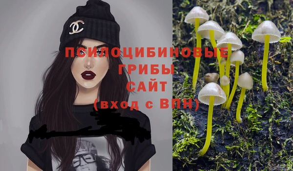 дживик Елизово
