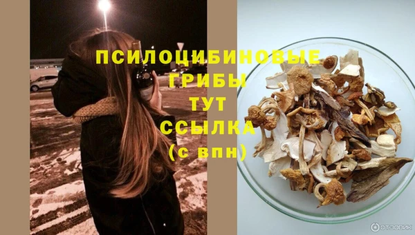 прущая мука Дмитров