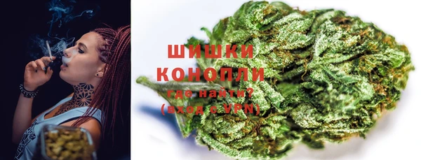мяу мяу мука Дмитриев